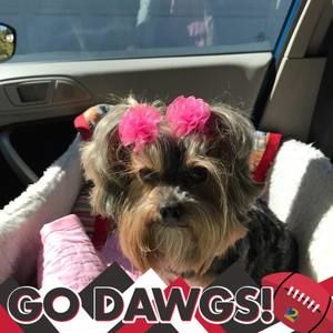 Meet your Posher, Kristy